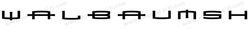 WalbaumSHOP-Bold Reg字体转换
